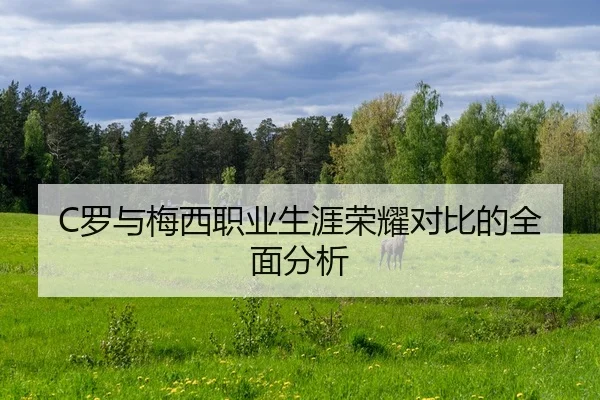 luo-yu-mei-xi-zhi-ye-sheng-ya-rong-yao-dui-bi-de-quan-mian-fen-xi-2-487.jpg